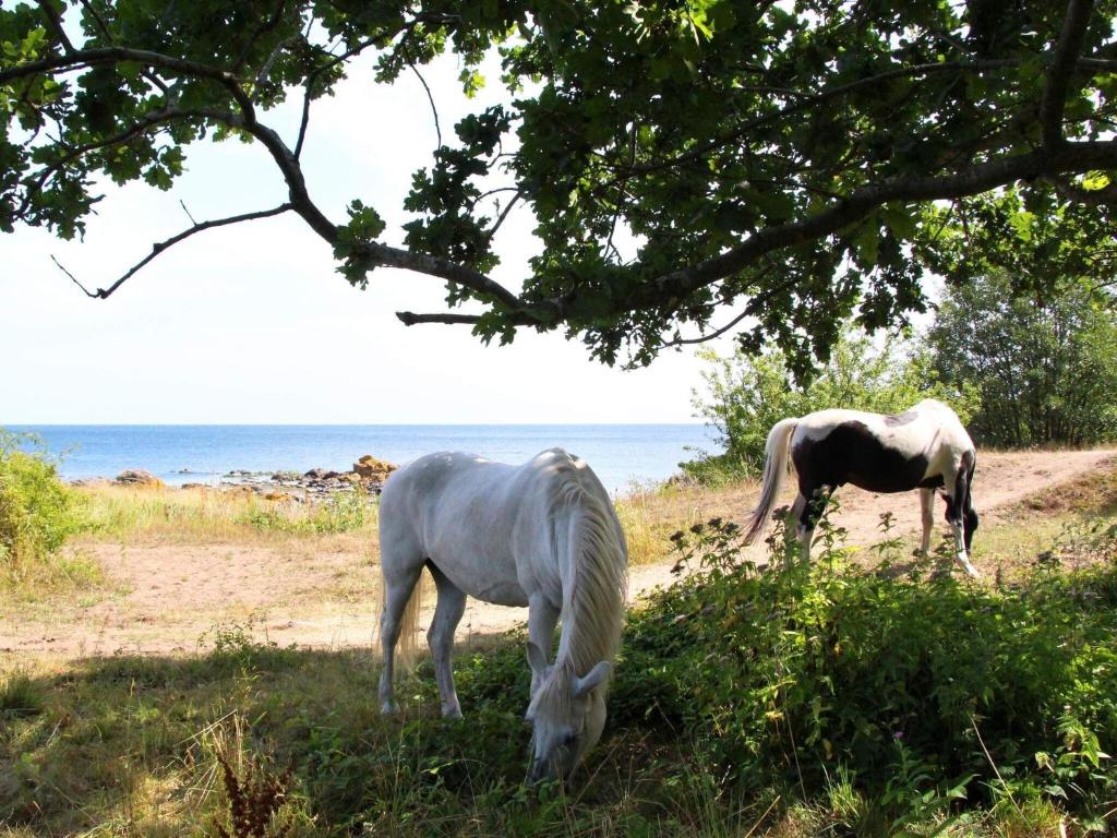 Fotografie z fotogalerie ubytování Holiday home Svaneke XXXVII v destinaci Svaneke