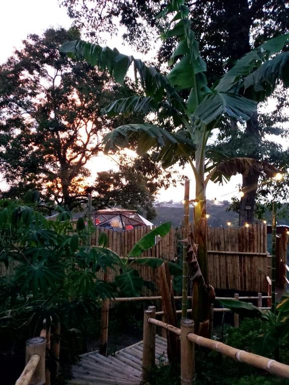 Giardino di Happy Glamping Quindio - Tipo Domo Traslúcido