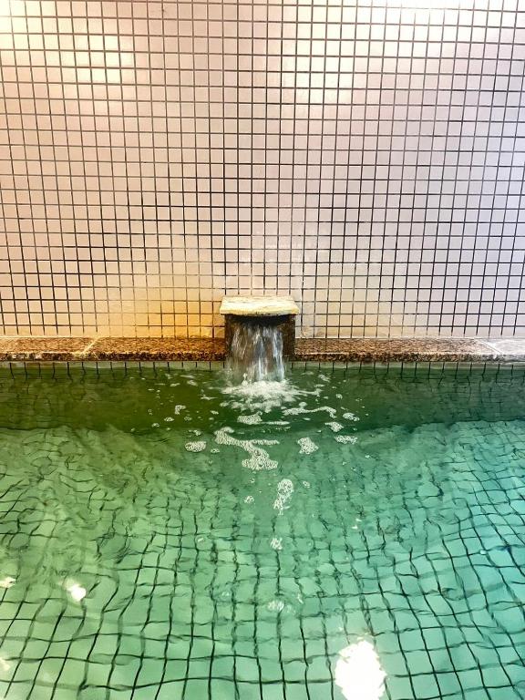 Bazén v ubytování 北軽井沢　Golden Forest Hotel nebo v jeho okolí