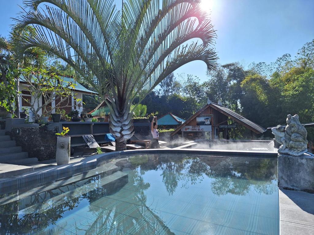 een palmboom naast een zwembad met een fontein bij Black Lava Hostel and Lodge in Kintamani