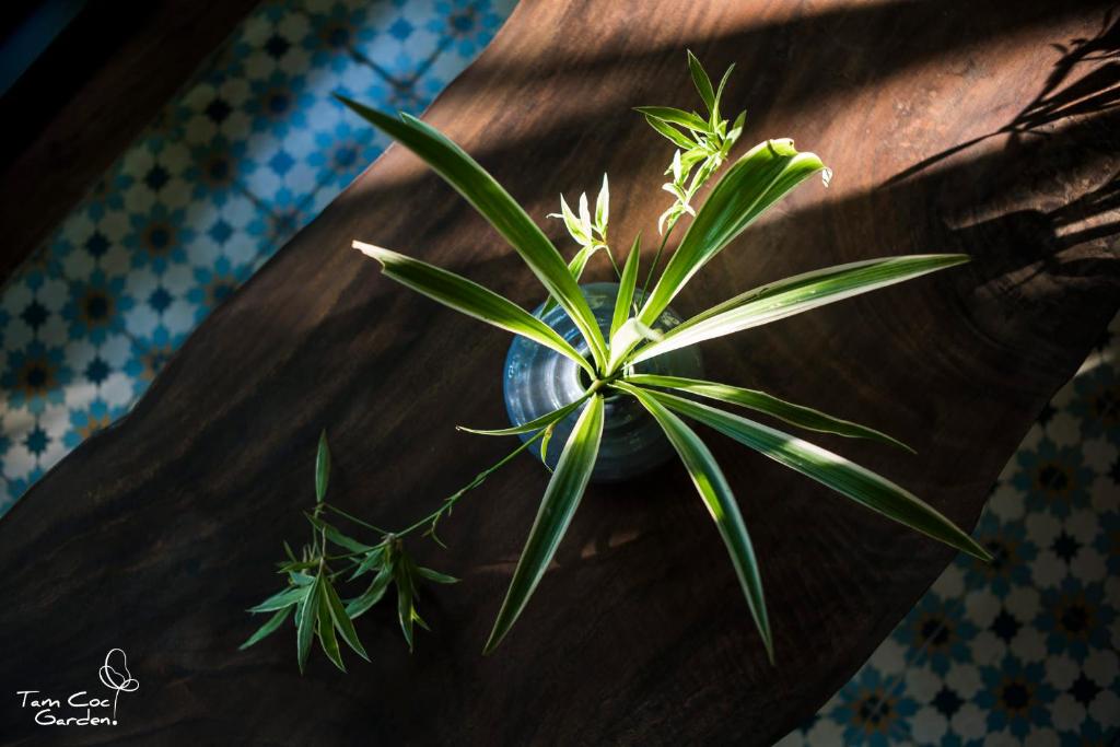 Tam Coc Garden Resort - 9