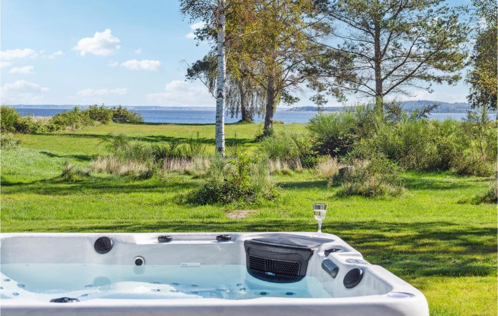 a bath tub in a field with a glass of wine at Cozy Home In Hjslev With Wifi in Højslev