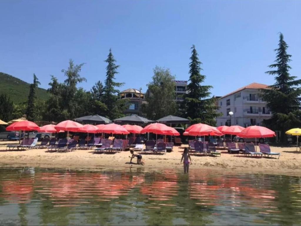 Příroda nedaleko hotelu