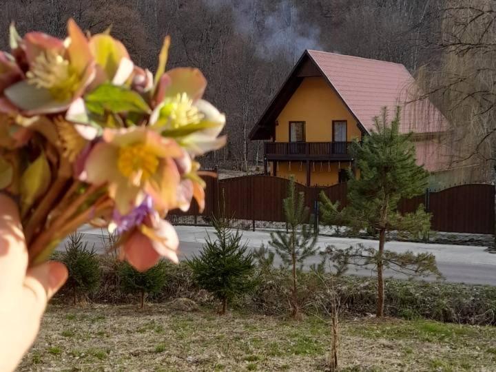 Zahrada ubytování Садиба Срібний Вовк