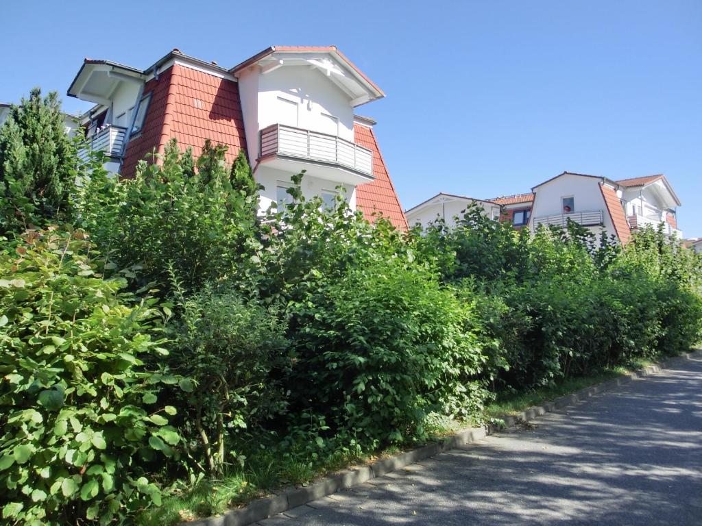 une rangée de maisons avec des buissons sur le côté d'une route dans l'établissement Ferienwohnung A3, à Graal-Müritz