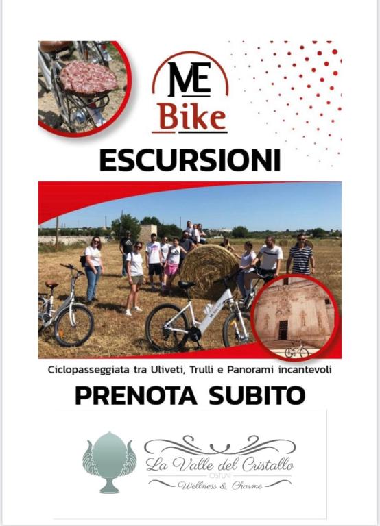 Jazda na bicykli v okolí ubytovania La Valle Del Cristallo Wellness & Charme
