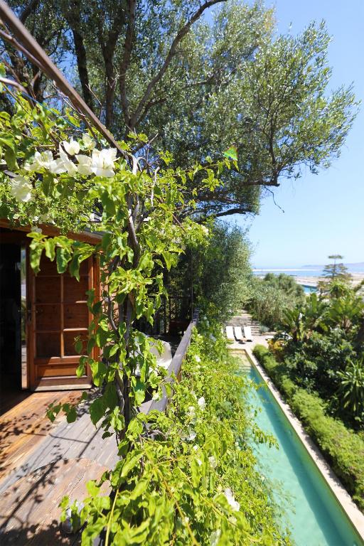 a garden with a swimming pool next to a house at Mimi Calpe in Tangier