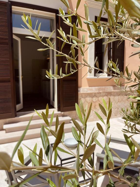 Foto sihtkohas Taranto asuva majutusasutuse Palazzo Pitagora galeriist