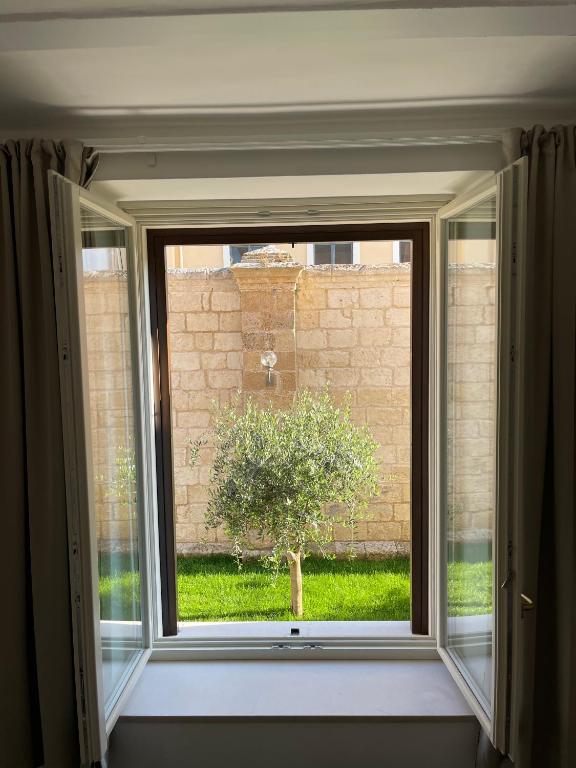 Aed väljaspool majutusasutust Palazzo Pitagora
