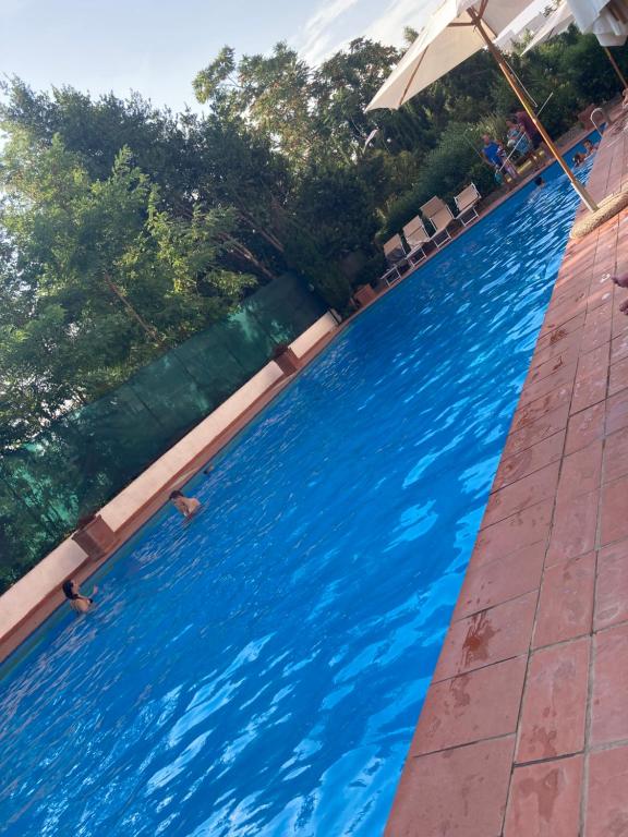 a swimming pool with blue water and an umbrella at Terrace! in Rome