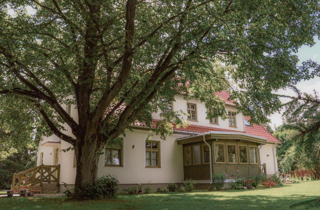 duży biały dom z drzewem w ogrodzie w obiekcie ZielonoMi w mieście Zieleniak