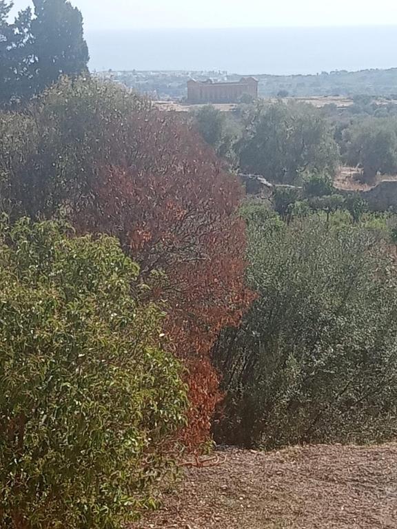 Príroda v okolí vily