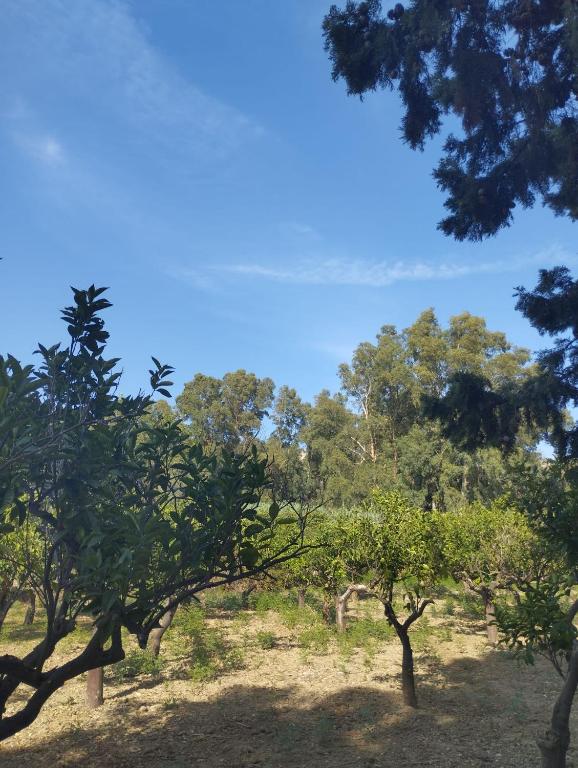 Príroda v okolí vily