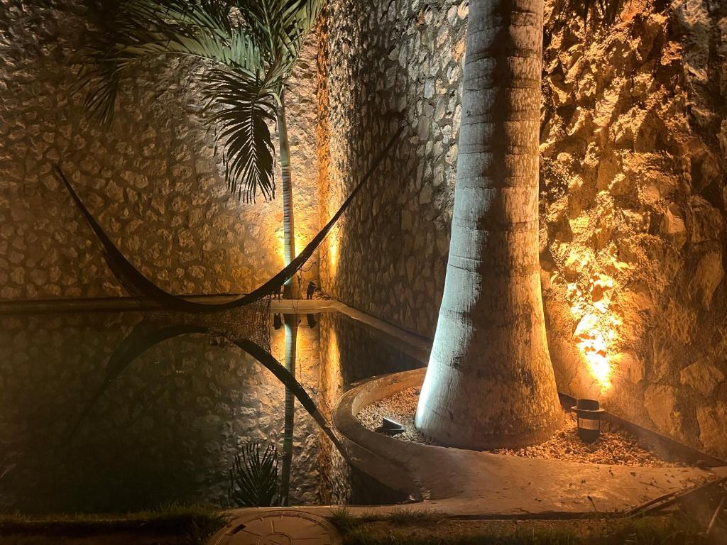 eine Palme in einem dunklen Raum mit Licht in der Unterkunft BAU Tulum in Tulum