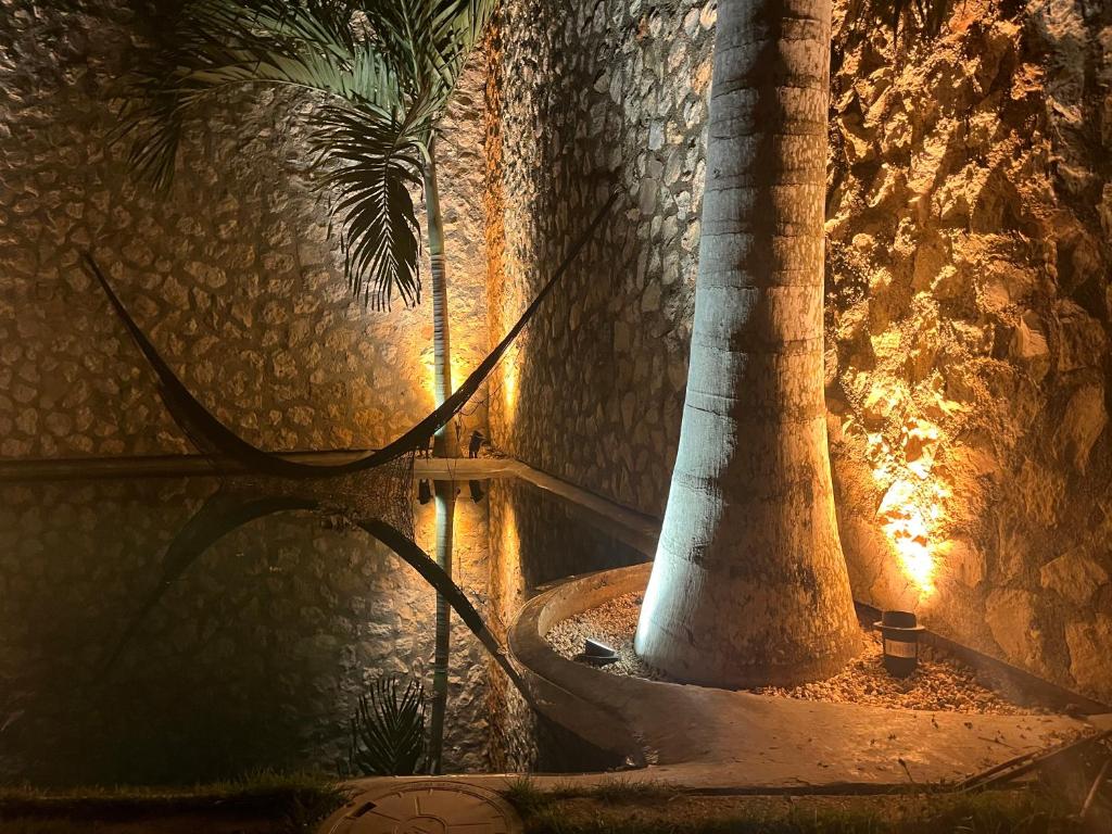 a palm tree in a dark room with a light at BAU Tulum in Tulum