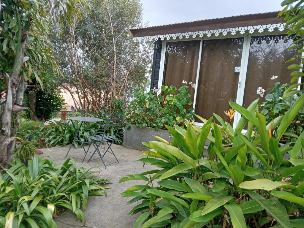 un jardin avec une table, des chaises et des plantes dans l'établissement L'améthyste, à Le Tampon