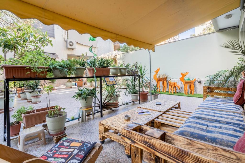 Hostel Nena Semi في تيرانا: فناء في الهواء الطلق مع الطاولات والنباتات الفخارية