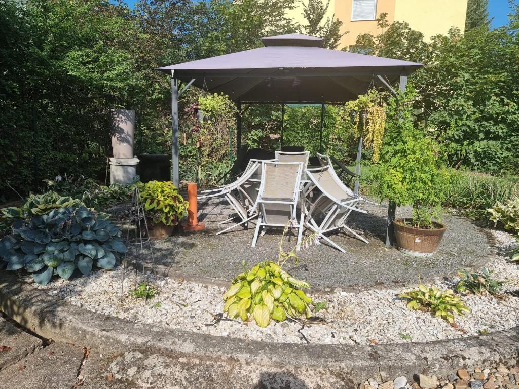 Zahrada ubytování Bordó apartmán A4 v Chomutově