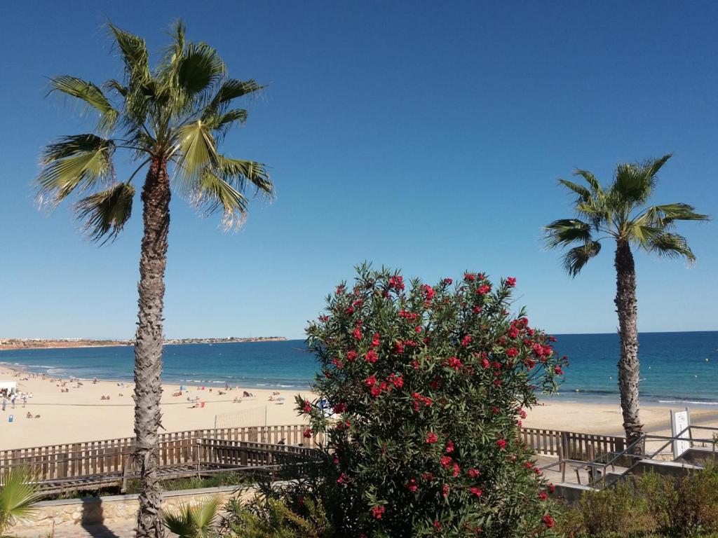 Wonderful Family Holiday in a New Villa with a Private Pool ...
