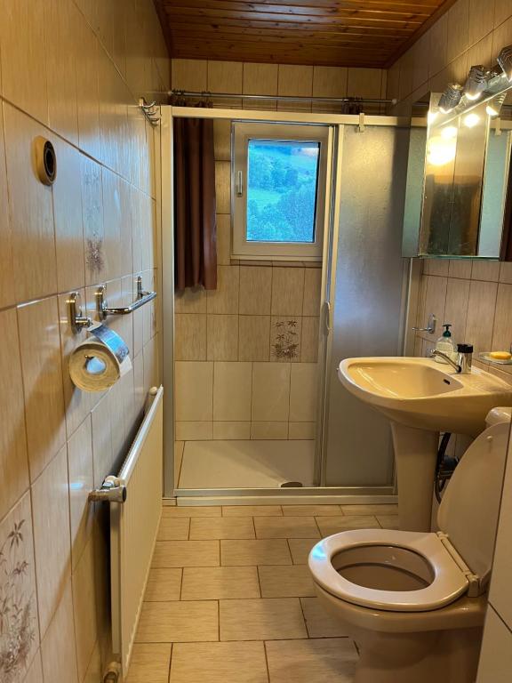 a bathroom with a shower and a toilet and a sink at Naturparadies Nähe Grüner See 