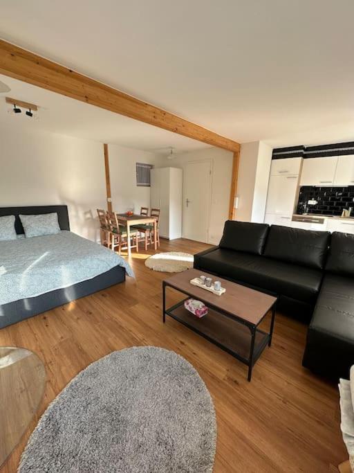 Posezení v ubytování Chalet du Moléson