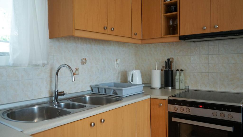 Kuchyň nebo kuchyňský kout v ubytování Urban Blue House