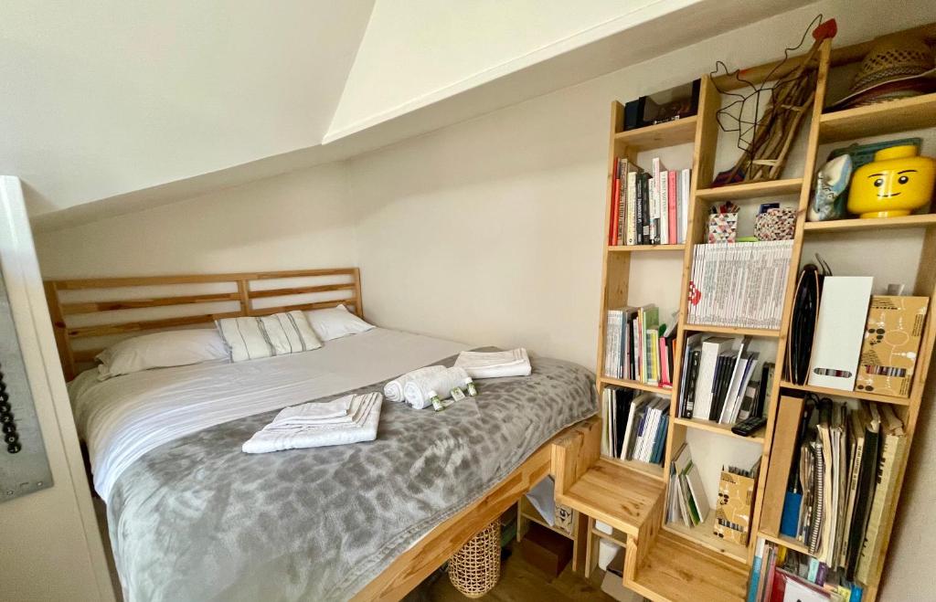 een slaapkamer met een bed en een boekenplank bij La Rive - Charmant logement bord de Marne in Champigny-sur-Marne