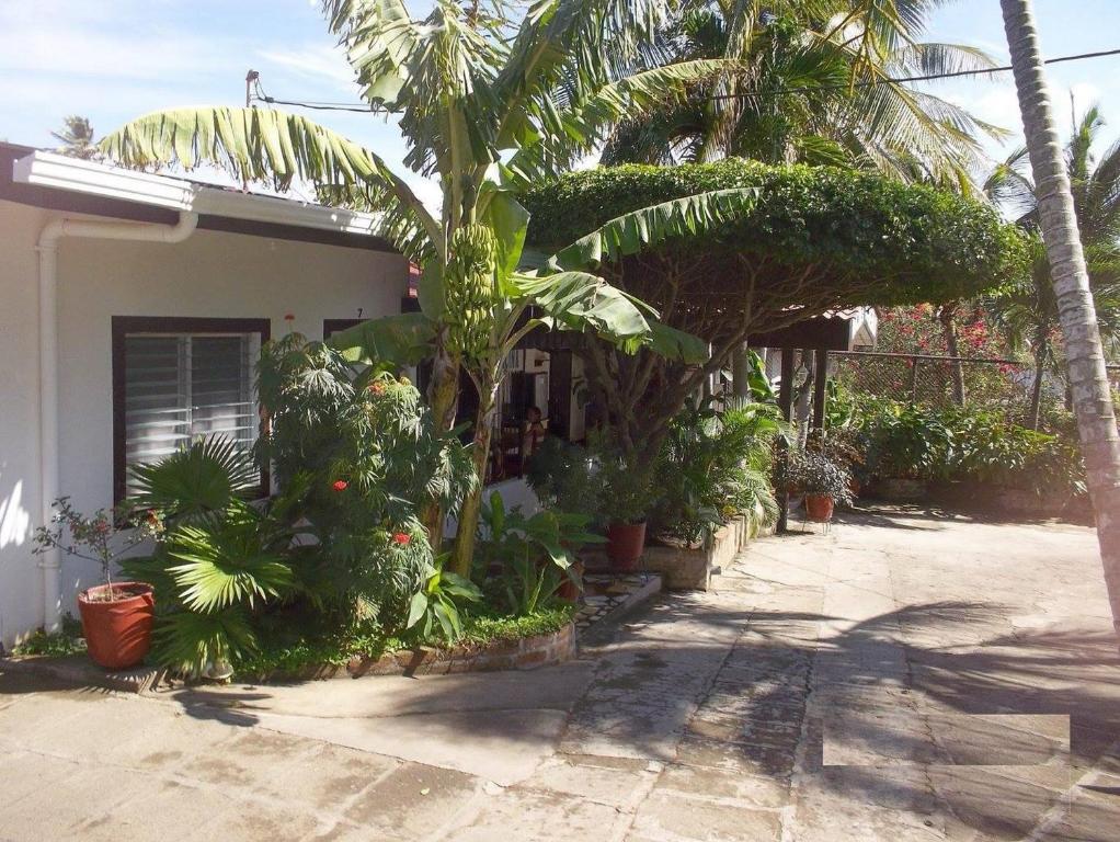 a house with palm trees and plants in front of it at Hotel Noches Sureñas / Southern Nights Nicaragua in San Jorge