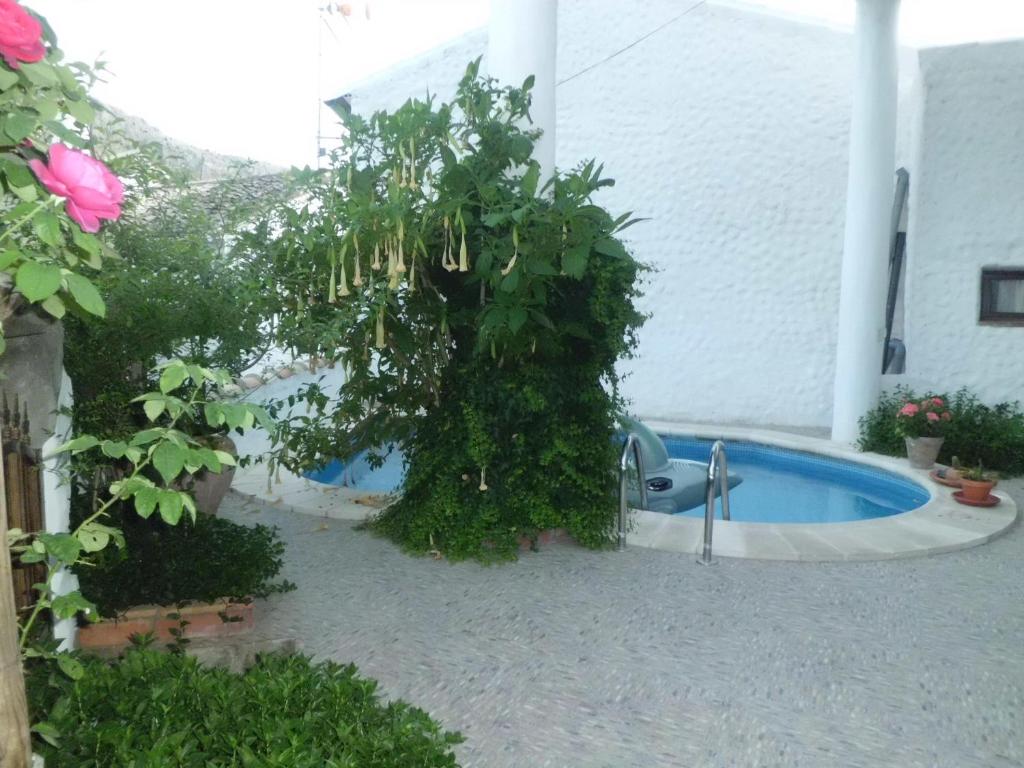 Basen w obiekcie Apartamentos Jaronil lub w pobliżu