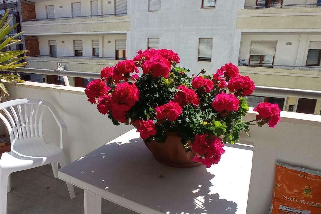 una maceta de flores sentada en una mesa en un balcón en Casamia. Confortevole appartamento vicinissimo al mare en Porto Torres