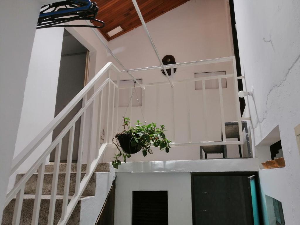 Fotografie z fotogalerie ubytování casa de relajación lowcost v destinaci La Dorada