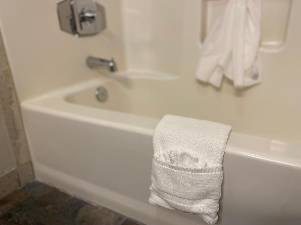 Koupelna v ubytování SkyRidge Inn