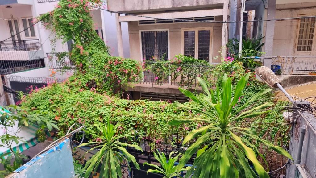 Jardin de l'établissement Paulatim House Saigon