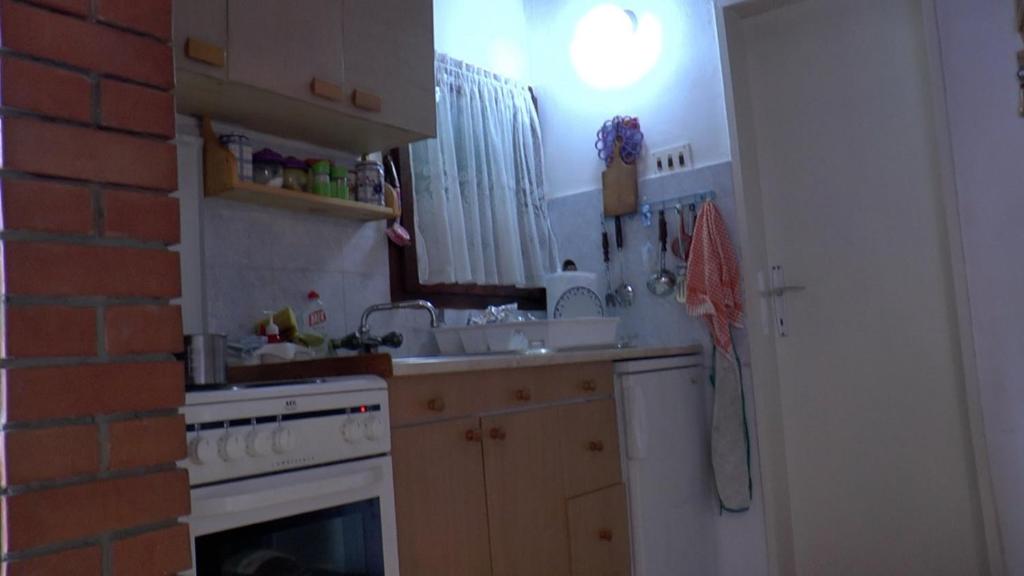 a kitchen with a white stove top oven next to a brick wall at Apartmani Planinska kuća, Jagodnja in Krupanj