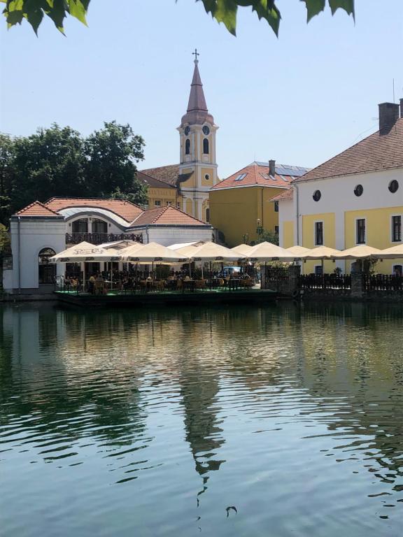Výhľad na rieku v blízkosti apartmánu