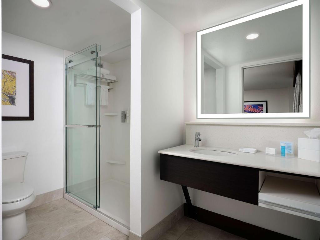 Hampton Inn & Suites Austin-Downtown/Convention Center - 