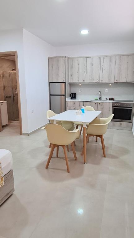 Kuchyň nebo kuchyňský kout v ubytování Elite Residence