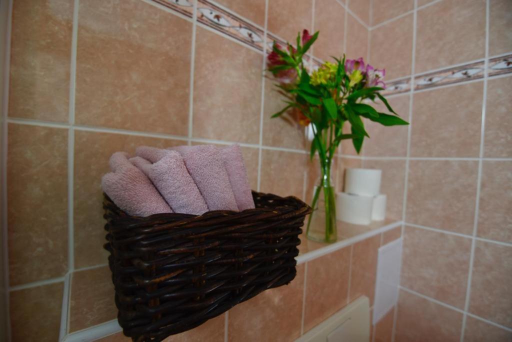 Koupelna v ubytování Apartmány Braníčkov