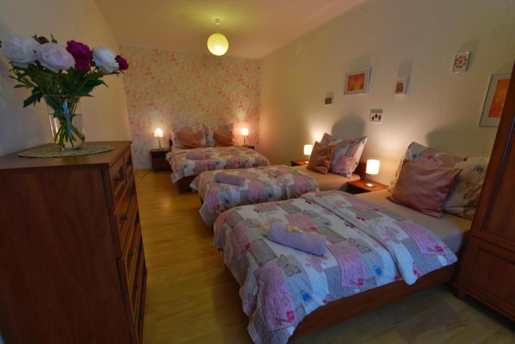 Postel nebo postele na pokoji v ubytování Apartmány Braníčkov