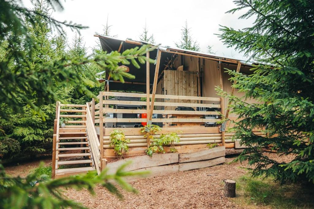 una casa con una valla y plantas delante de ella en Cosy Forest Lodge en Penrhôs