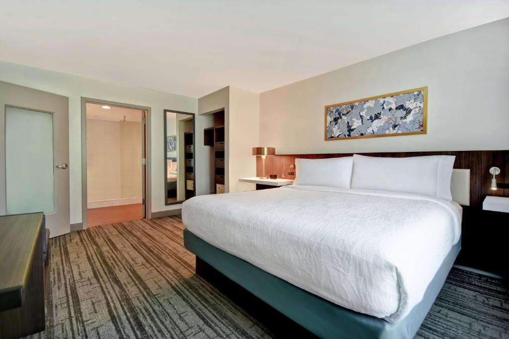Hilton Garden Inn Houston/Galleria Area photo