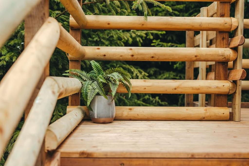 Fotografie z fotogalerie ubytování Cosy Forest Lodge v destinaci Penrhôs