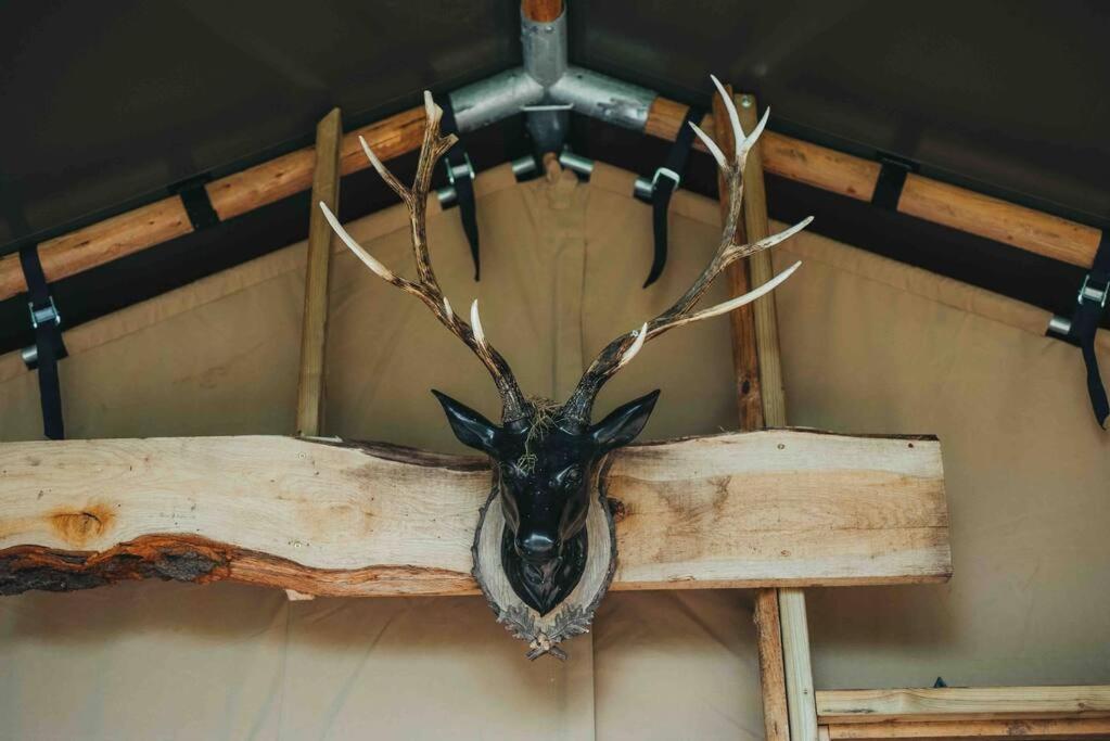 Fotografie z fotogalerie ubytování Cosy Forest Lodge v destinaci Penrhôs