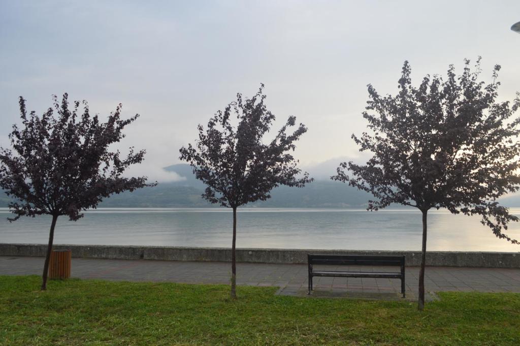 Priroda u blizini apartmana
