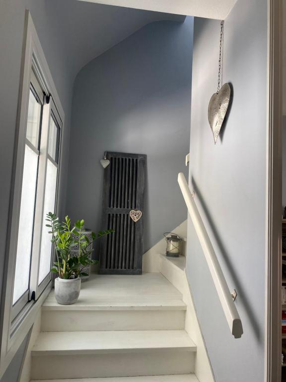 un escalier avec une plante en pot et une fenêtre dans l&#39;établissement Douce Halte, à Sautron