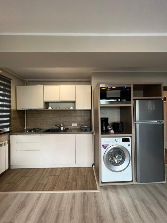 Kuchyň nebo kuchyňský kout v ubytování Garden Apart Predeal