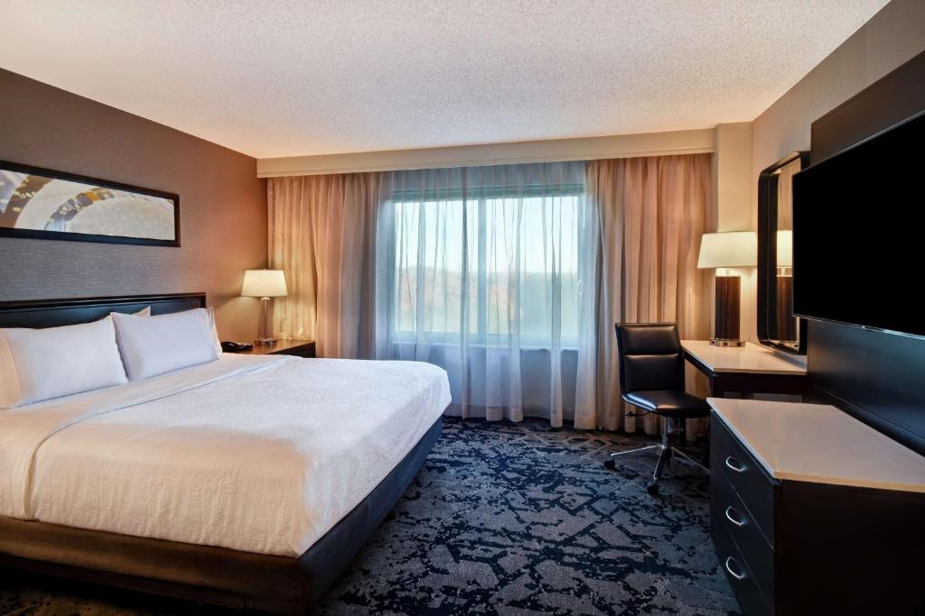 Embassy Suites by Hilton Raleigh Durham Research Triangle - 带浴缸的国王套房 - 残疾人/非吸烟