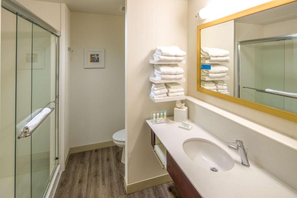 Hampton Inn Houston Downtown photo