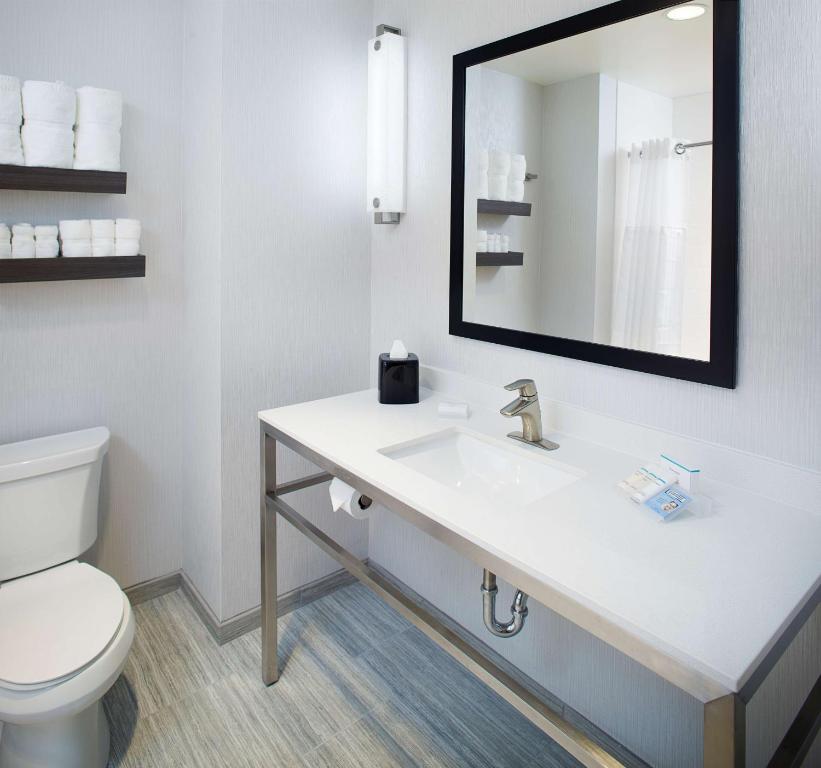 Hilton Garden Inn Dallas/Arlington South - Habitación Premium Con Cama Extragrande