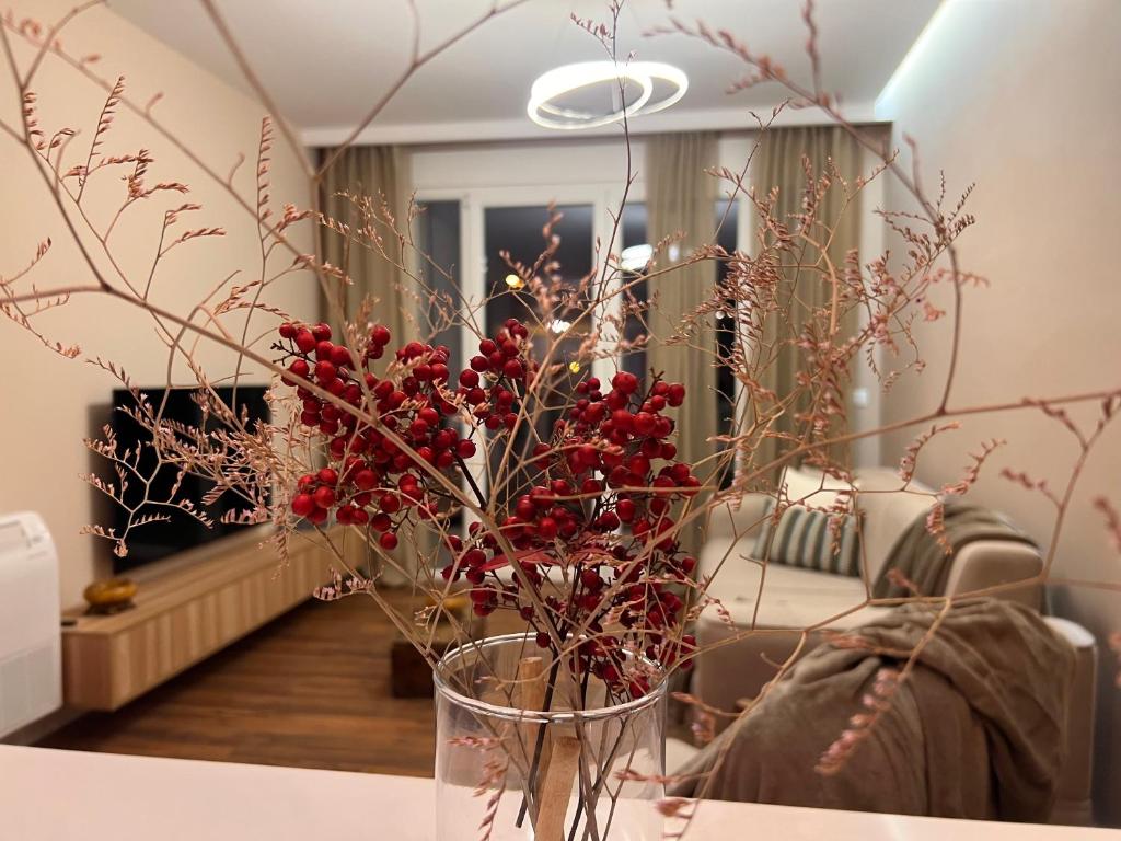 Apartament ne qender te Shkodres - Image 9